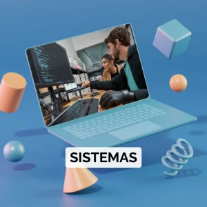 Servicios de Sistemas y Consultoría