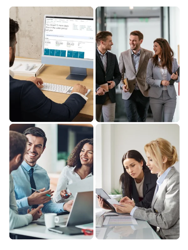 business central sales agent