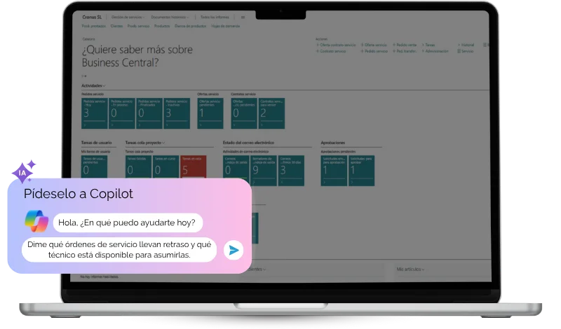 modulo de servicios business central